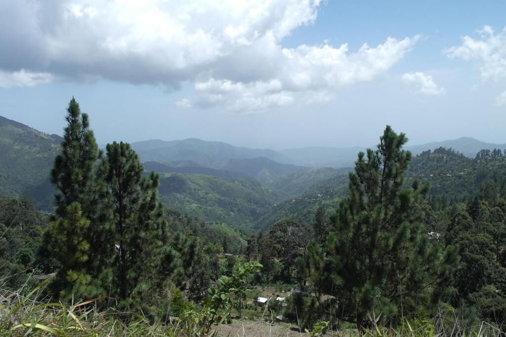 A mountainous landscape with dense forests and a few scattered buildings.