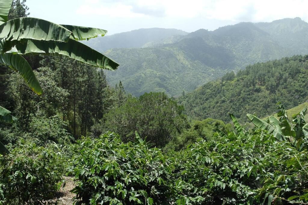 Foto - Jay's Guest House