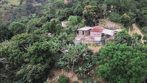 Un pueblo rural con casas dispersas rodeado de vegetación densa.