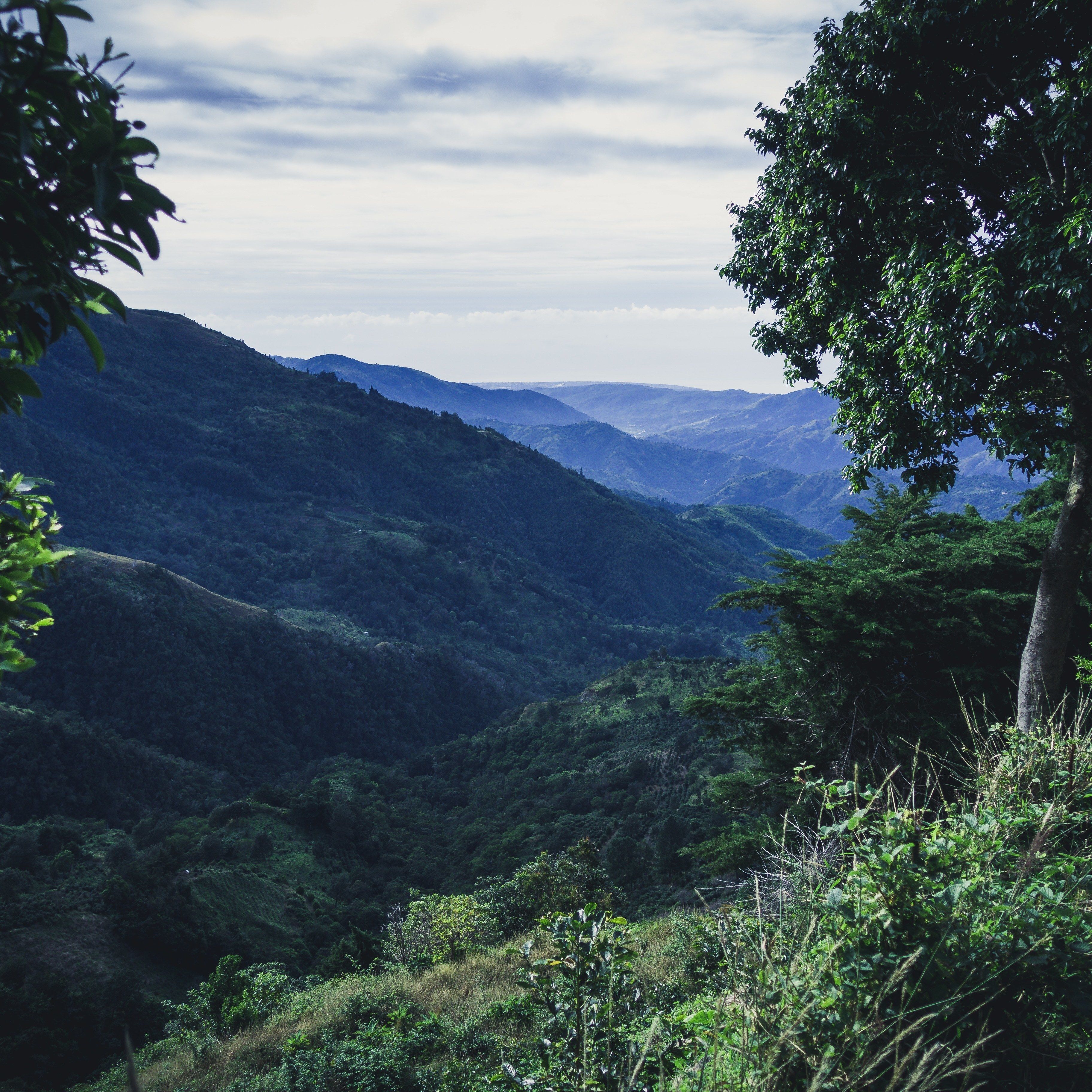 Foto - Jay's Guest House