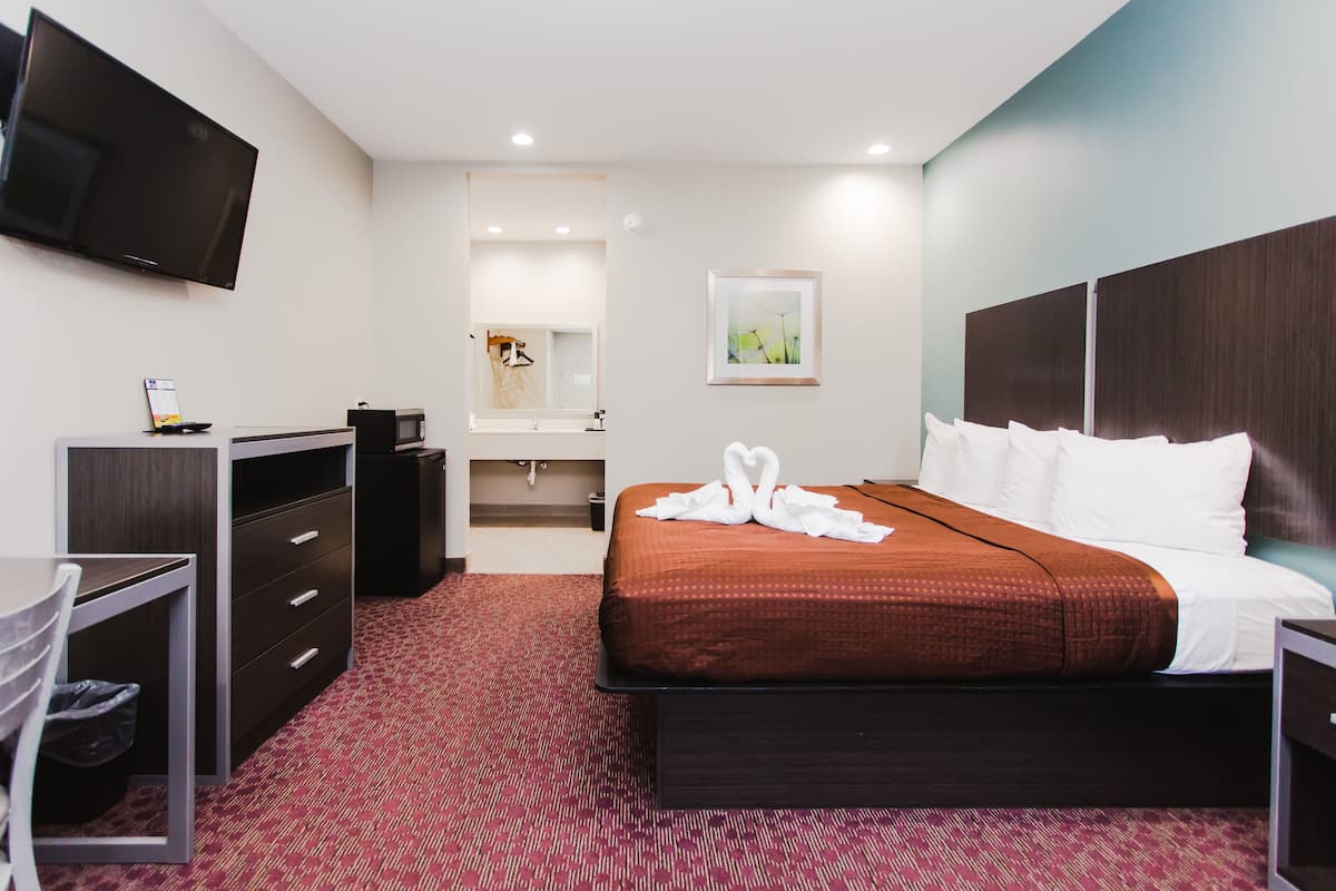 Habitación de hotel con cama, escritorio, silla, televisor, espejo, lavamanos y un cuadro en la pared.