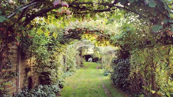 Jardín
