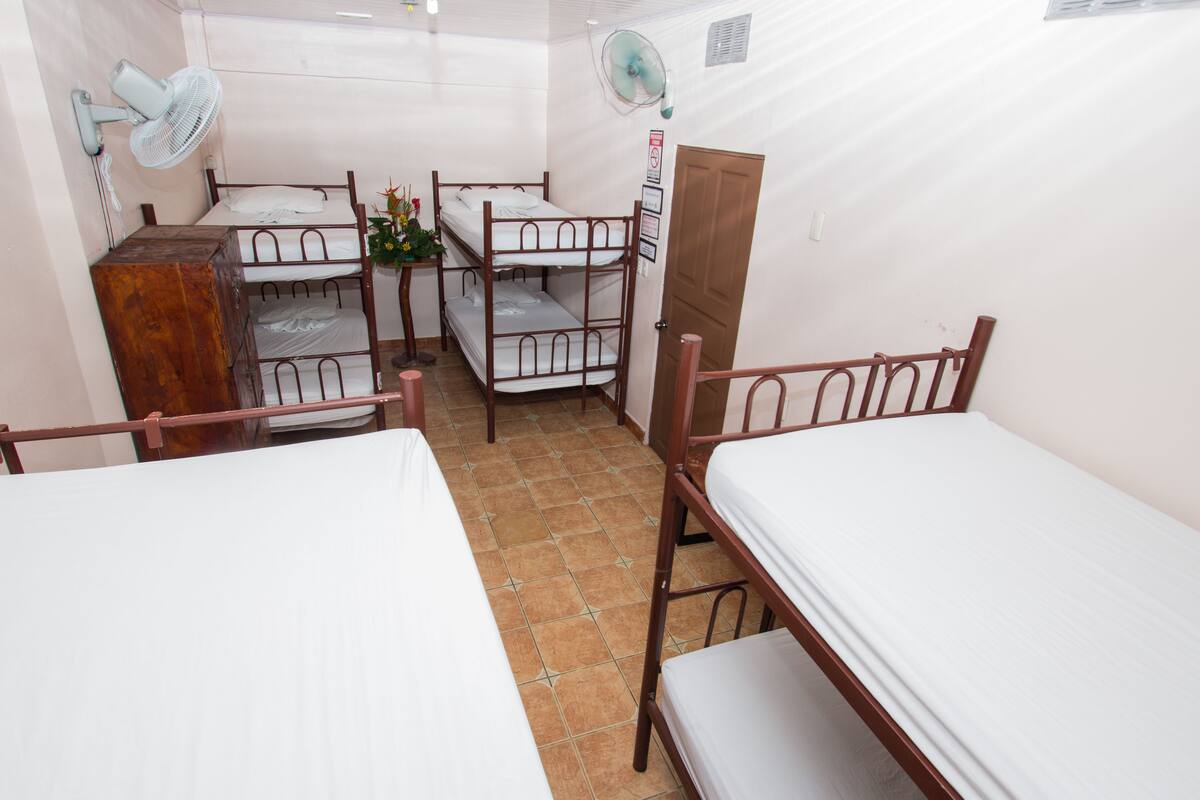 Un dormitorio con literas, un escritorio, una silla, un ventilador y un armario de madera.