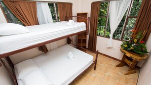 Una camera con un letto a castello, un piccolo ripiano di legno e una pianta in vaso.