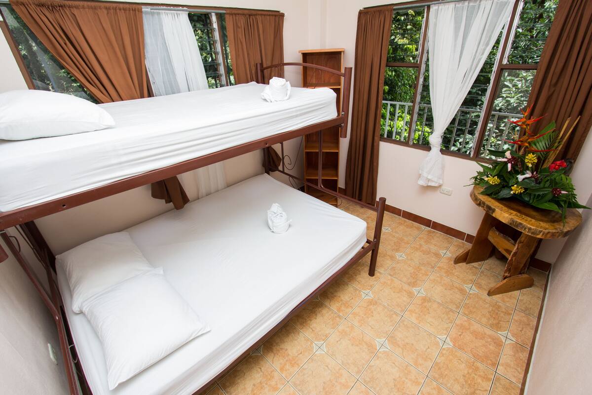 Habitación con literas, un estante de madera pequeño y una planta en maceta.