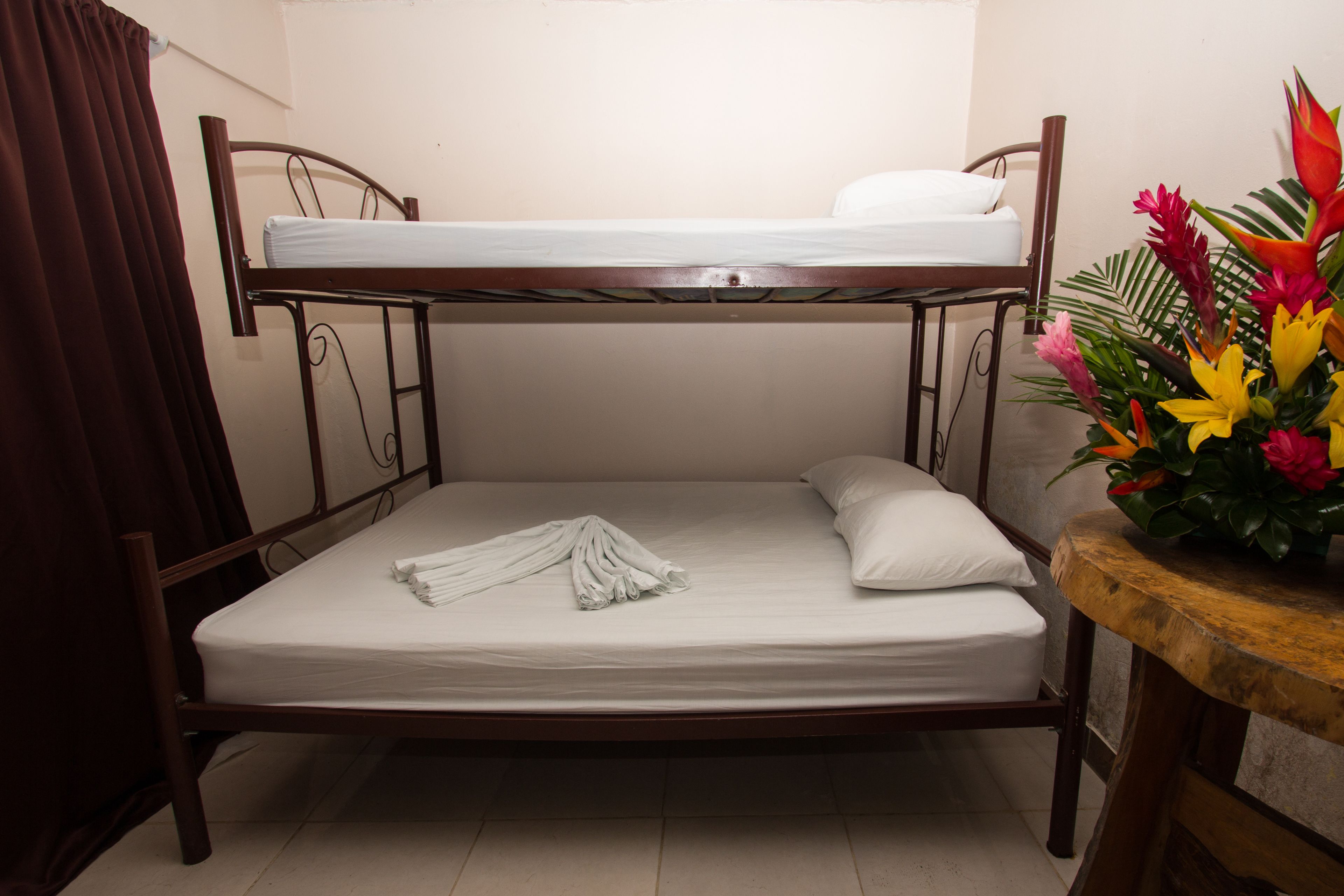 Foto - Hostel Manuel Antonio