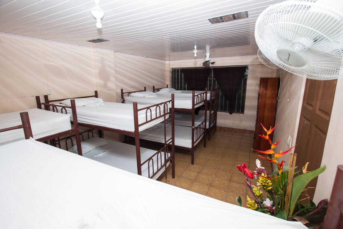 Bed in 10-Beds mixed Dormitory Room shared bathroom (Fan) | Caja fuerte, wifi gratis, ropa de cama