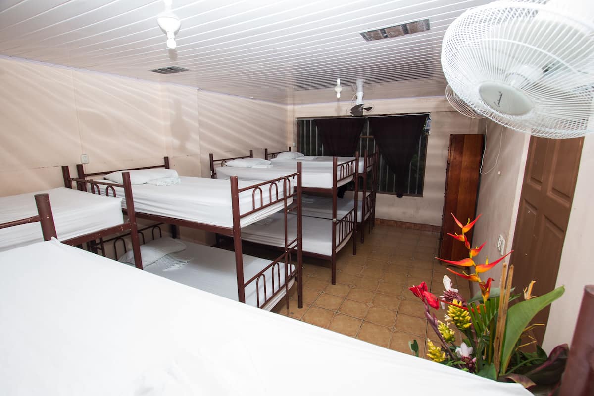 Bed in 10-Beds mixed Dormitory Room shared bathroom (Fan)