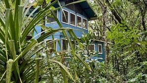 Mariposa Cabin, River View