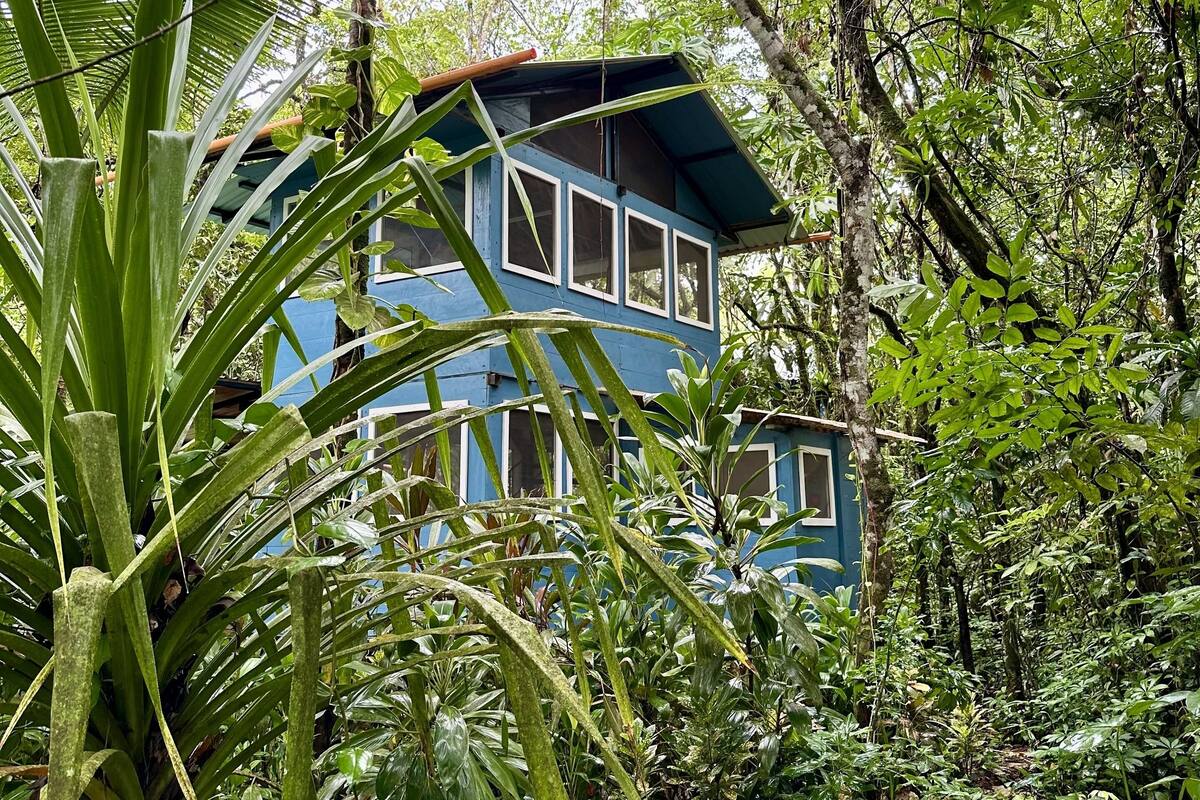 Mariposa Cabin, River View