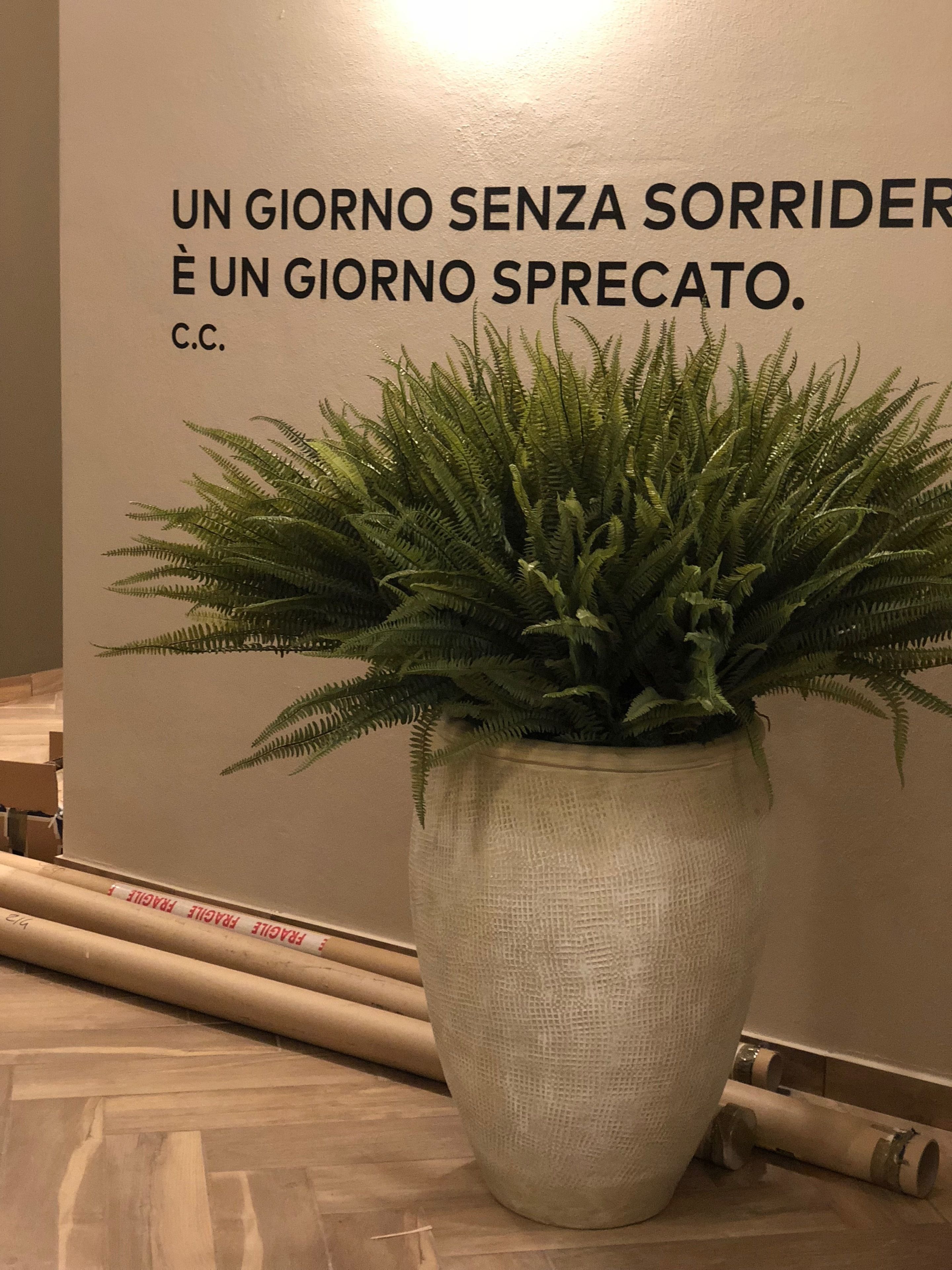 Ein Blumentopf mit einem Schriftzug in Italienisch an der Wand.