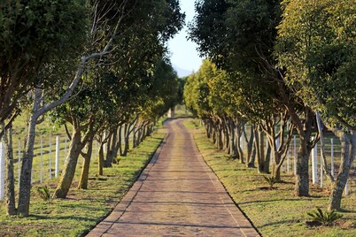 Eagles Nest Resort in the Garden Route has spectacular lake and mountain views  