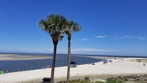 A beach with two palm trees, a sandy shore, and a calm sea.