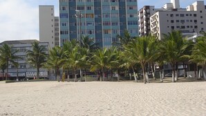 Ein Strand mit Palmen und einem hohen Gebäude im Hintergrund.