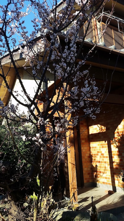 Higashi Matsudo Home Narita AP Direct