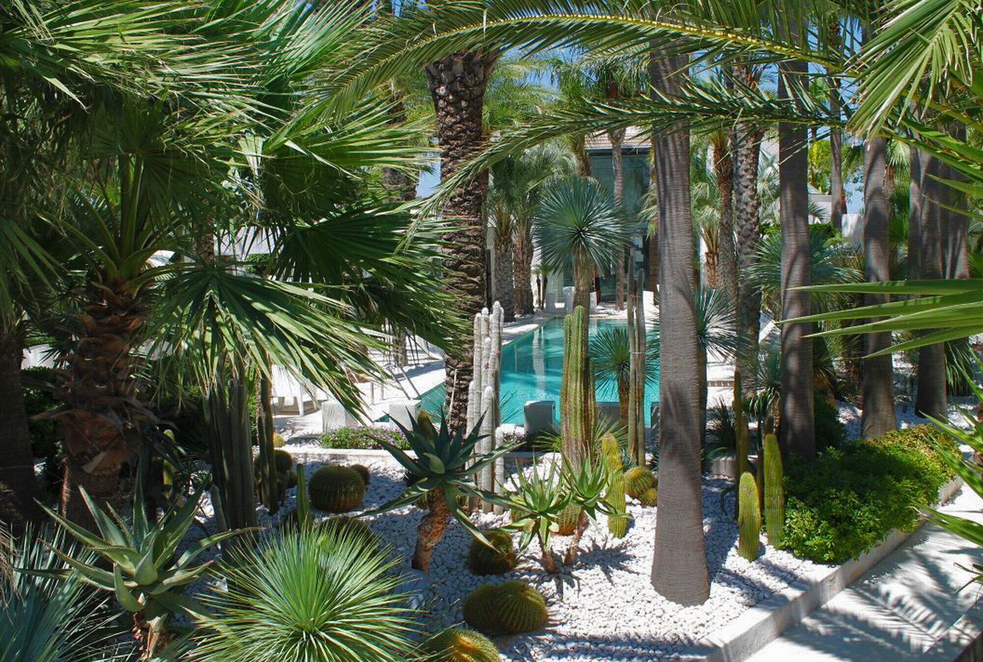 A lush garden with palm trees, cacti, and a pool area.