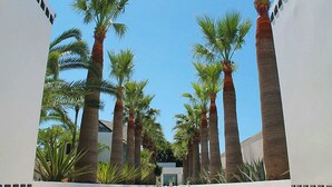 Un vialetto fiancheggiato da alte palme che conduce all'ingresso di un edificio.