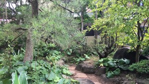 A garden with a stone pathway, large rocks, and various plants. - Masugataya Inn (Tako)