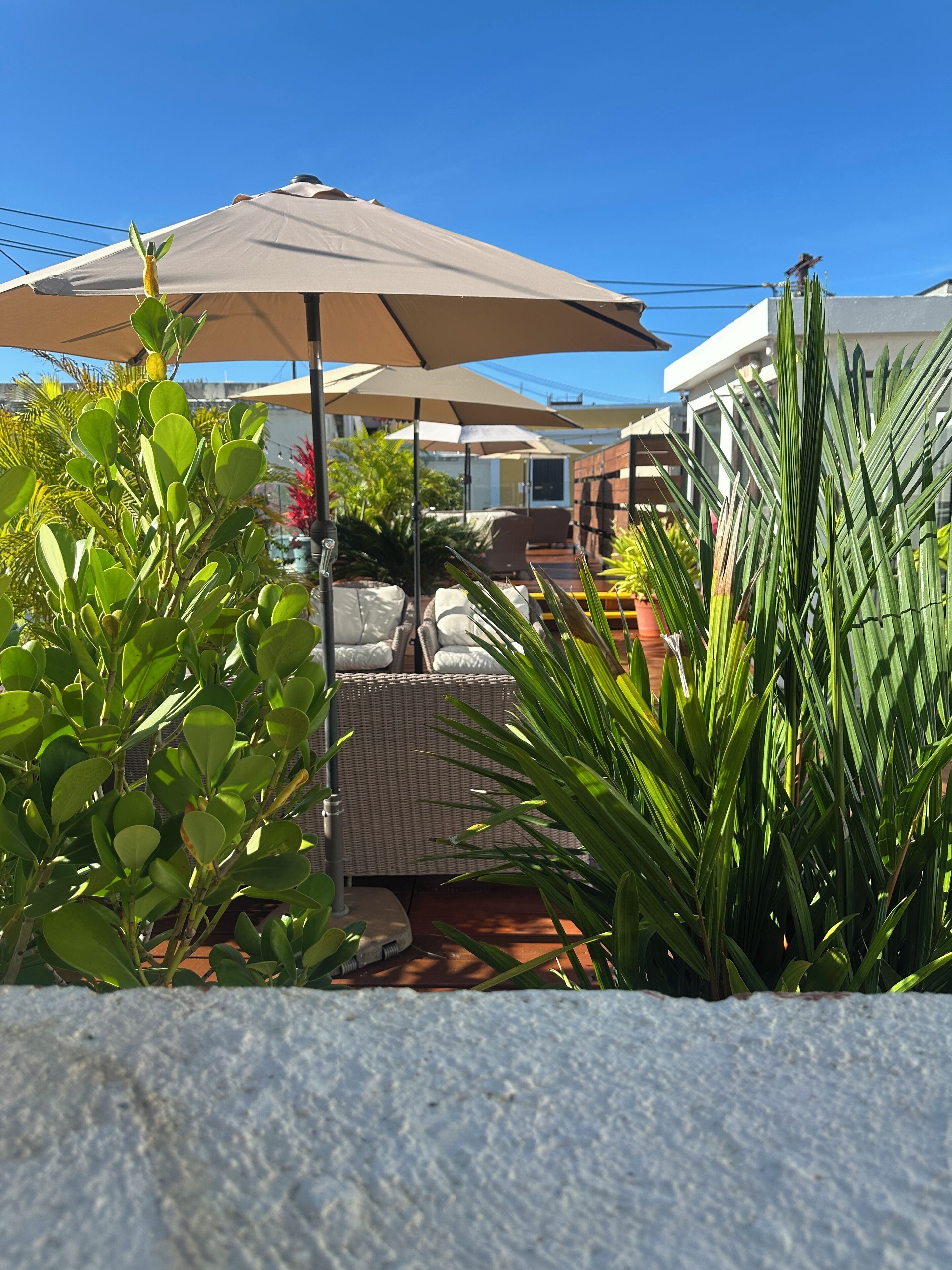 บริเวณภาย  นอก