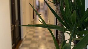 A hallway with a checkered floor, a door on the left, and a plant in the foreground.