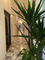 Τηλεόραση Smart 50 ιντσών με δορυφορικά κανάλια, τηλεοράσεις