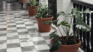 A corridor with checkered flooring, potted plants, and a staircase with black balusters.