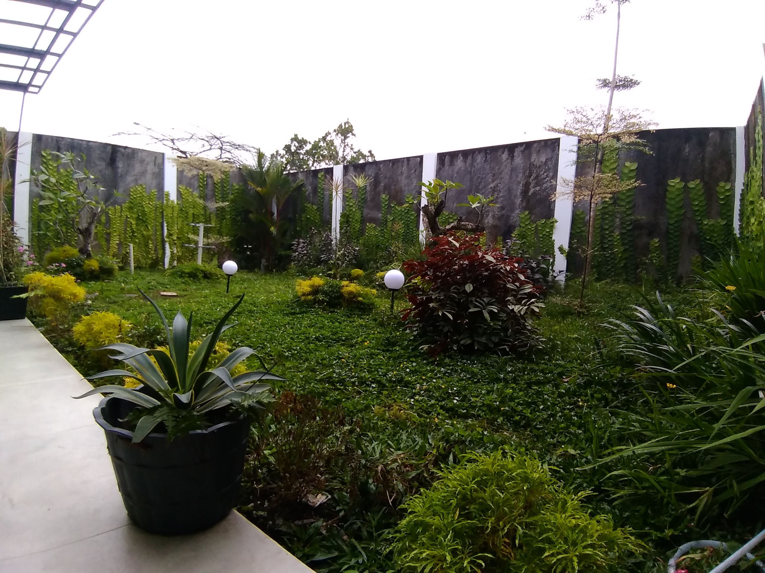 Un jardín con diversas plantas y un sendero.