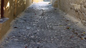 A narrow cobblestone alley flanked by buildings with stone walls and a vine-covered wall.