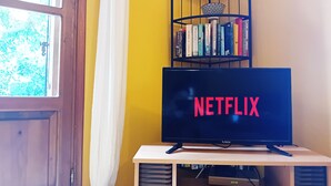 A television on a stand with the Netflix logo, a bookshelf with books, and a window with curtains.