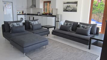 TV, DVD player, books, video library