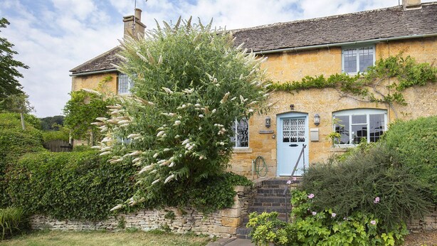 A stone cottage with a blue door, surrounded by lush greenery and a large flowering tree. - Pilgrim Cottage - sleeps 8 guests  in 4 bedrooms (Bourton-on-the-Hill)