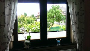 Une fenêtre donnant sur un quartier résidentiel, une plante en pot et une bougie posée sur le rebord de la fenêtre.