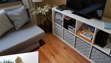 Fernseher, Bücher