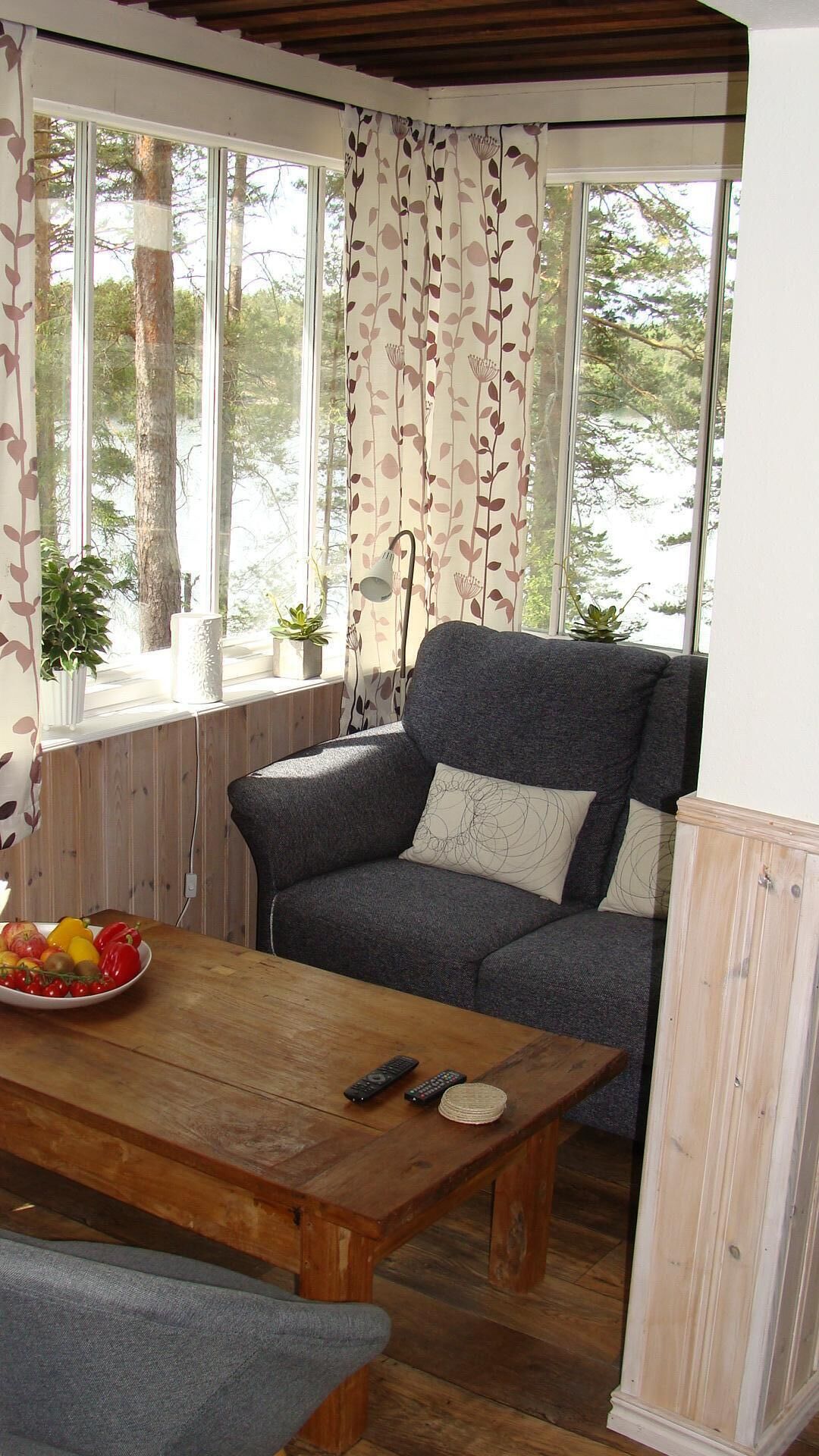 TV, fireplace, DVD player, books