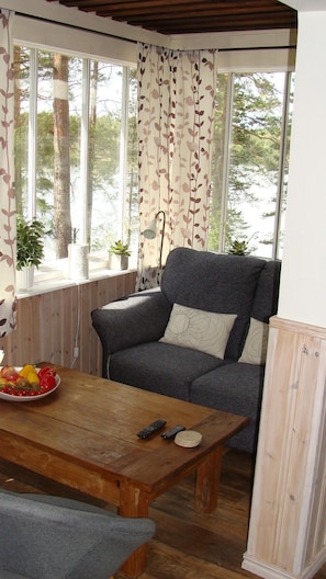 Fernseher, Kamin, DVD-Player, Bücher