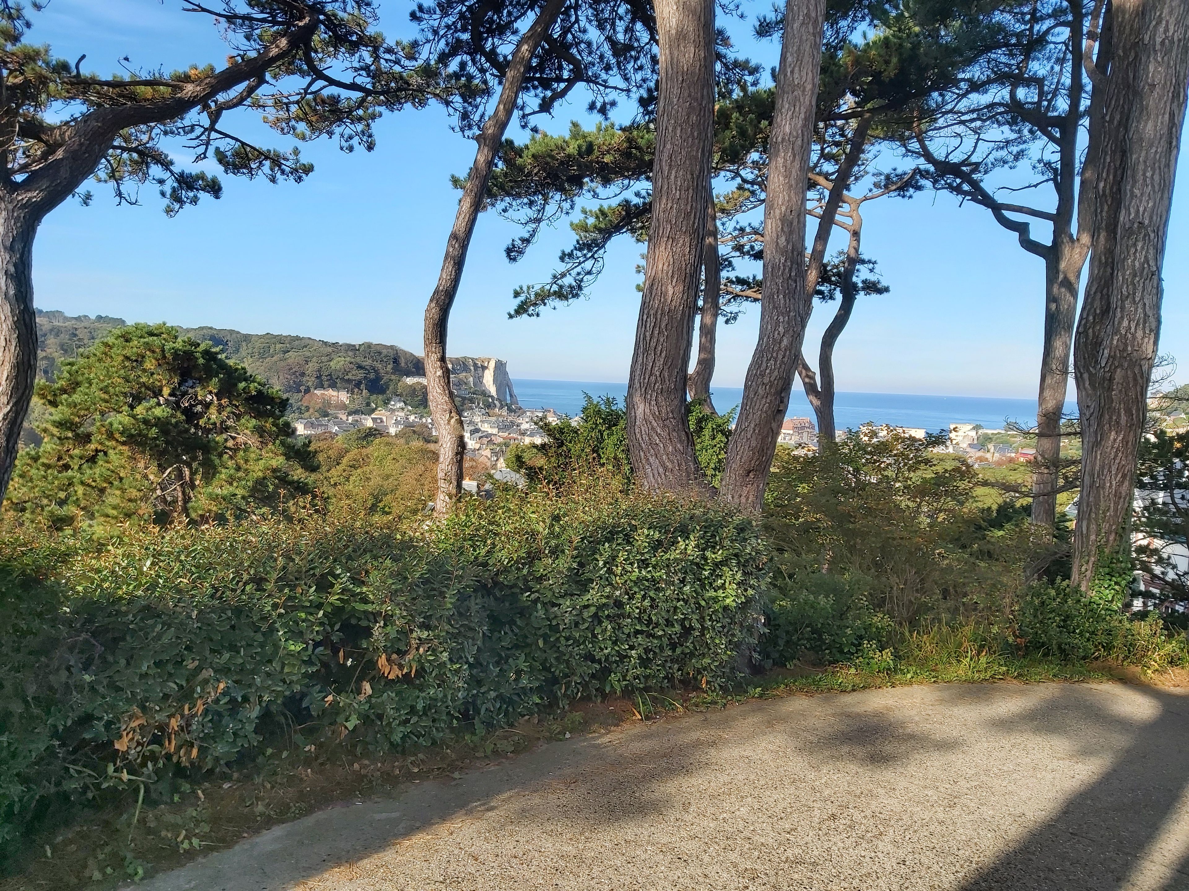 Une route côtière bordée d’une végétation luxuriante, offrant une vue sur une ville et des falaises au loin.