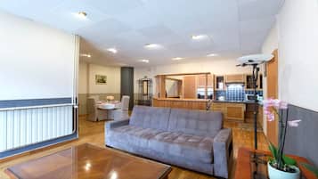 TV, DVD player, books, video library