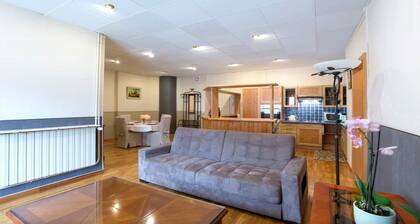 Furnished luxury apartment located in the very center of METZ