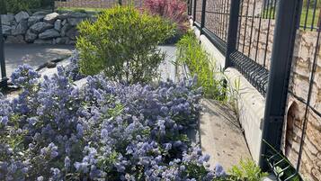 Enceinte de lâhĂ©bergement