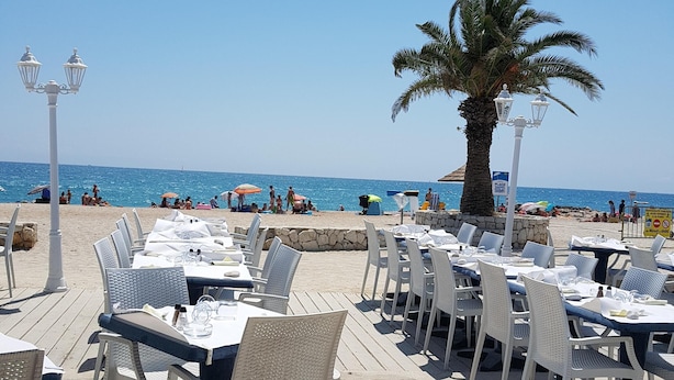An outdoor dining area with tables and chairs, a palm tree, and a view of the beach and ocean.