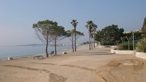 A sandy beach with trees and a clear view of the sea.