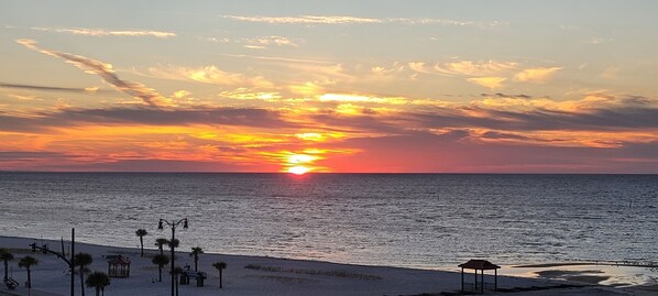 Sun-loungers, beach towels - $75 nightly rates...Booking now for Holidays, over 250 5 star reviews. (Gulfport)
