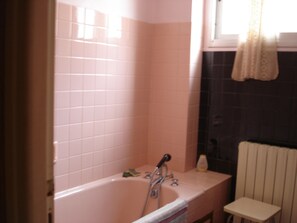 Combined shower/bathtub, hair dryer, bidet, toilet paper
