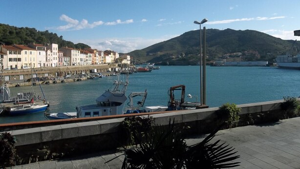 Un puerto con barcos, un paseo marítimo y edificios a lo largo de la costa.