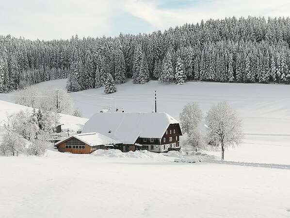 Snow and ski sports - Gasthaus Pension Donishäusle (Titisee-Neustadt)
