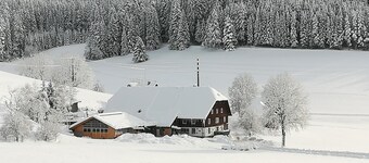 Gasthaus Pension Donishäusle
