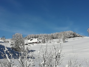 A snow-covered landscape with a house and trees. - Gasthaus Pension Donishäusle (Titisee-Neustadt)