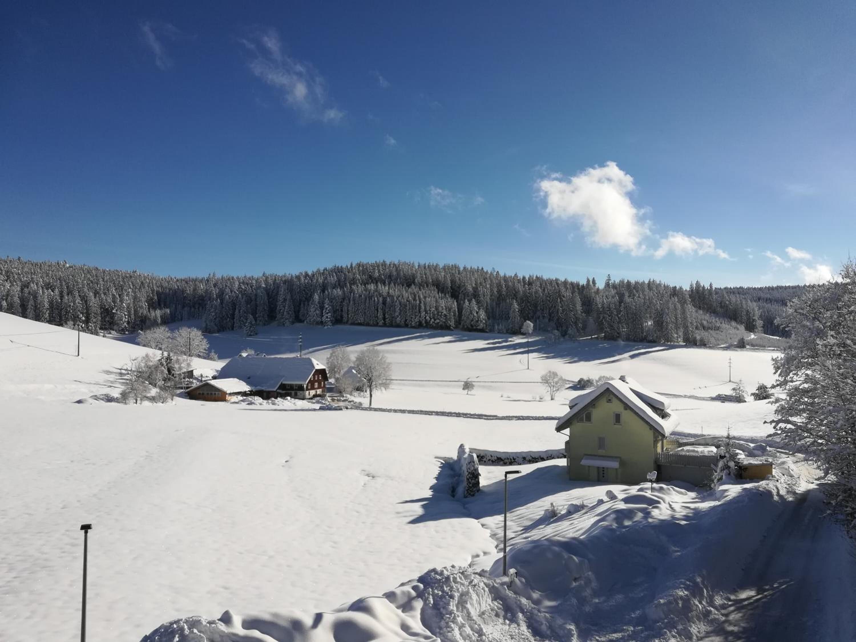 A rural landscape with snow-covered fields, a small wooden house, and a forest in the background.