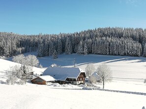 Sneeuw- en skisporten