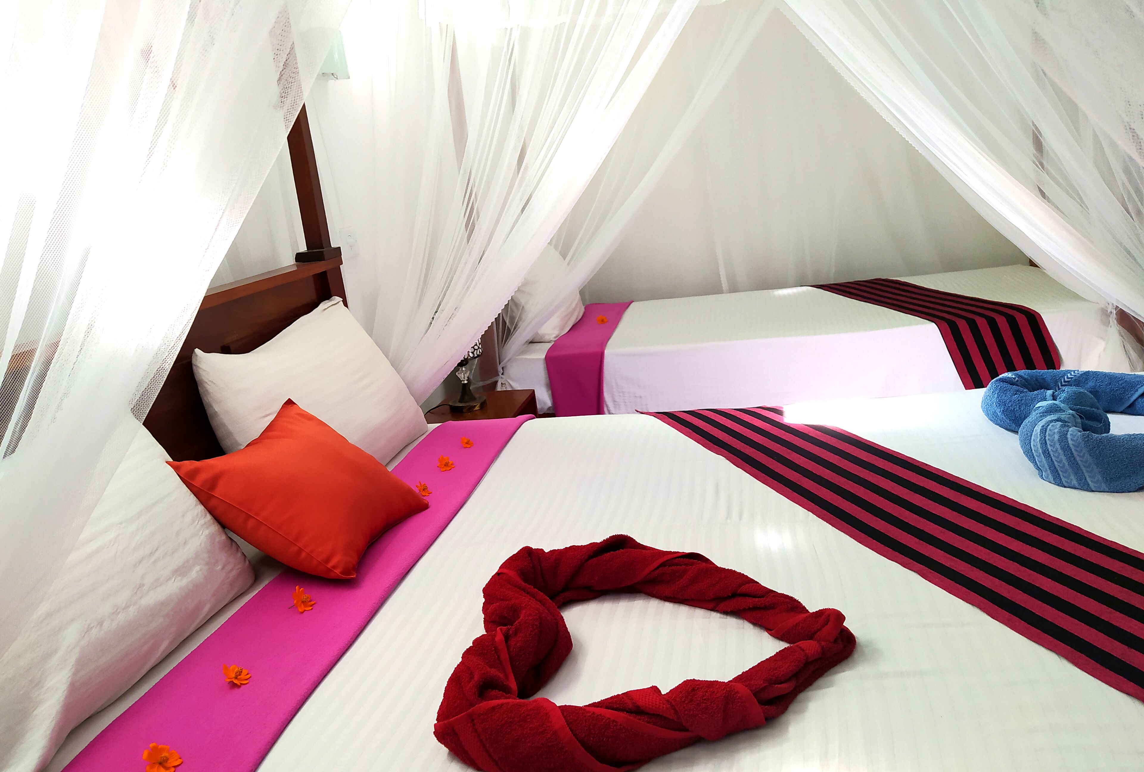 Comfort Twin Room | Premium bedding, memory-foam beds, individually decorated